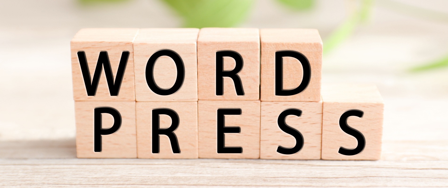 投稿者権限でもできる！SEOに効く小技まとめ