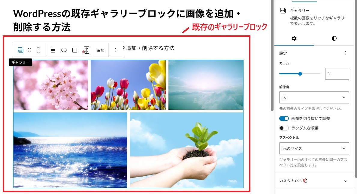 既存のギャラリーブロック